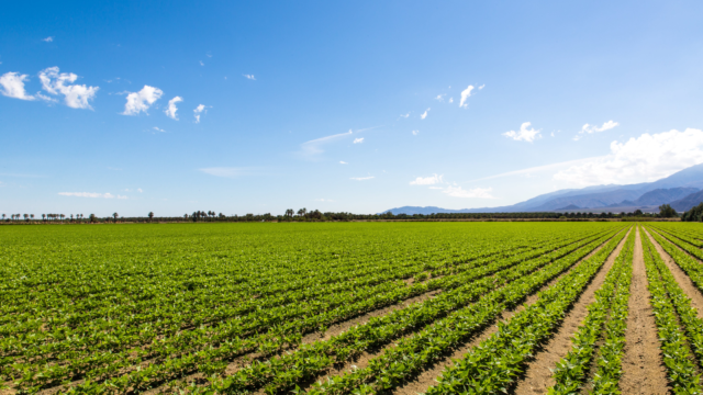 Farm Lands in Hyderabad