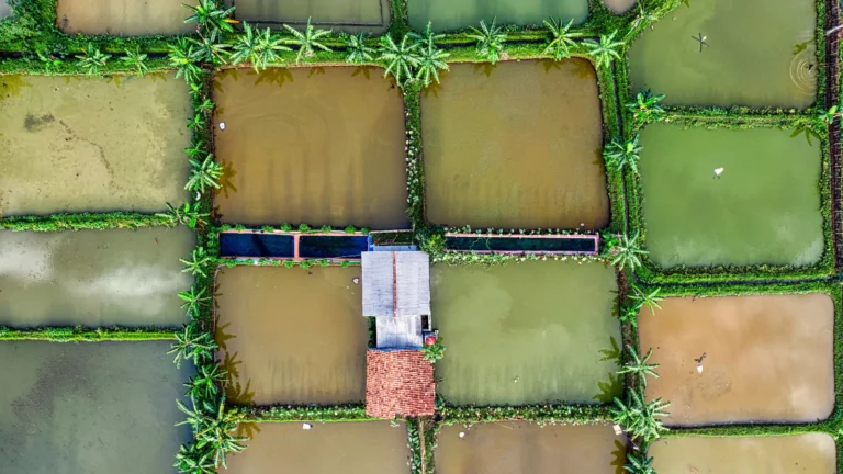 Hidden Benefits of Plot Investments