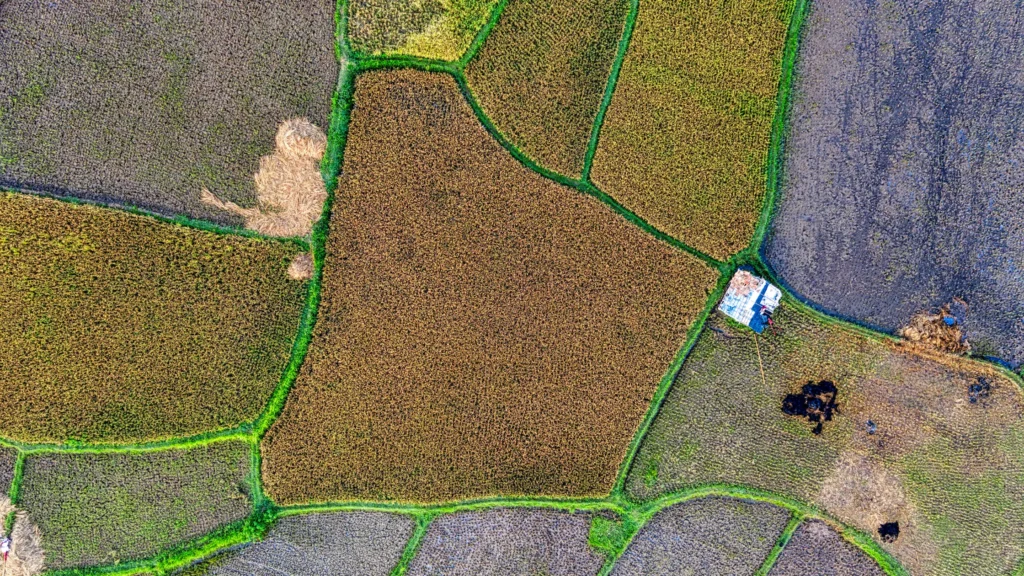 Villa open plots in Hyderabad gated community layout