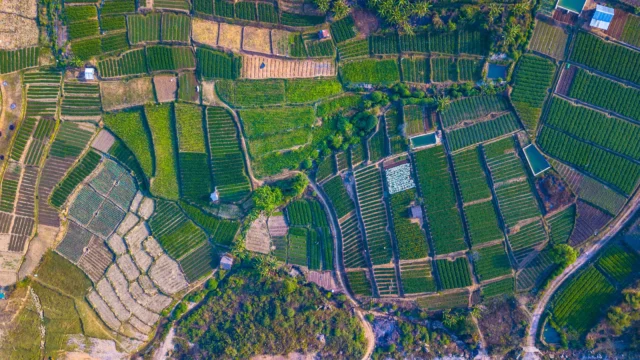 Open plot investment near Hyderabad